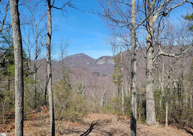 2nd image of 107 Roundtop Ln, Landrum, SC 29356 | MLS# 1445418