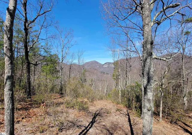 3rd image of 107 Roundtop Ln, Landrum, SC 29356 | MLS# 1445418