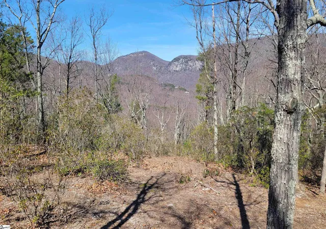 4th image of 107 Roundtop Ln, Landrum, SC 29356 | MLS# 1445418