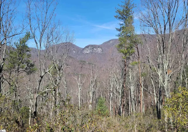 5th image of 107 Roundtop Ln, Landrum, SC 29356 | MLS# 1445418