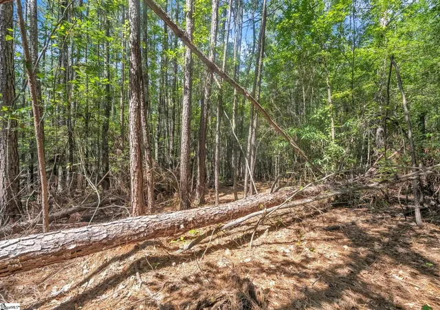 Photo 4 of House for sale at 0 Linder Rd, Gaffney, SC 29341 | MLS# 1599498 | Listing updated on 2026-08-01