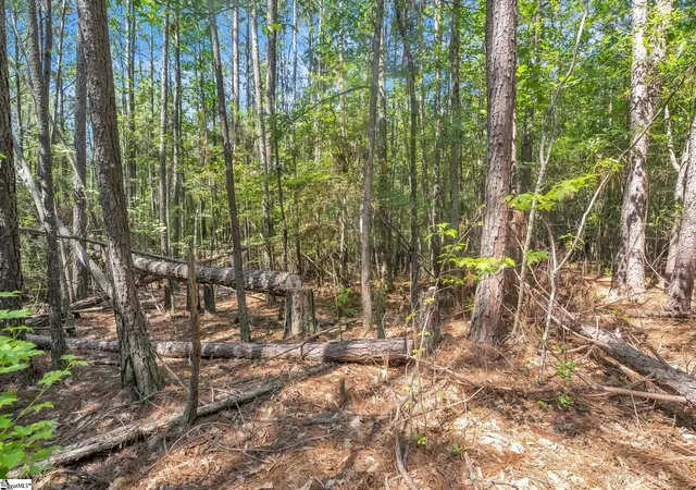 Photo 5 of House for sale at 0 Linder Rd, Gaffney, SC 29341 | MLS# 1599498 | Listing updated on 2026-08-01