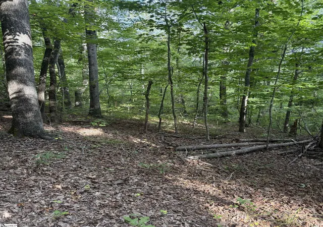 Photo 3 of Land for sale at 00 Daves Valley Rd, Pickens, SC 29671 | MLS# 1600109 | Listing updated on 2026-08-07