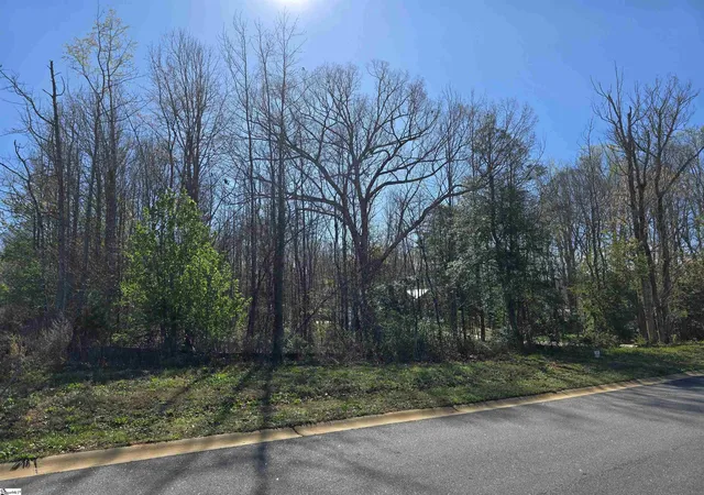 Homes for sale in Pelzer, SC | 103 Lipizzaner Ct, Pelzer, SC 29669 | MLS# 1597227