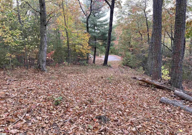 Photo 3 of Land for sale at White Fox Trl #Lot 15, Marietta, SC 29661 | MLS# 1511971 | Listing updated on 2026-05-08