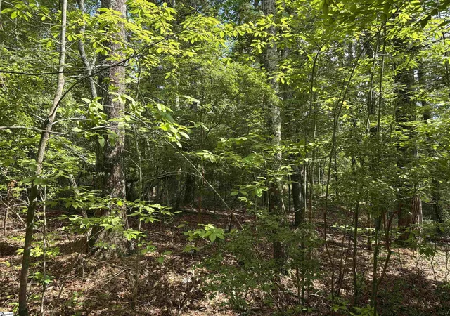 Homes for sale in Sunset, SC | 106 Dutchmans Pipe Trail Trail, Sunset, SC 29685 | MLS# 1596078