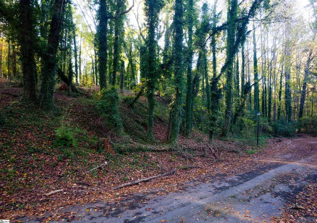 Photo 3 of Land for sale at 315 Brighton Rd, Anderson, SC 29621 | MLS# 1574226 | Listing updated on 2026-08-14