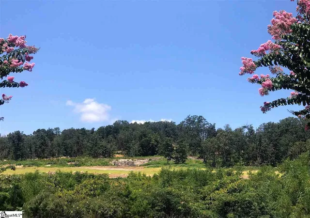 Photo 4 of Land for sale at 209 Trevi Dr #461, Greenville, SC 29609 | MLS# 1536254 | Listing updated on 2026-01-06