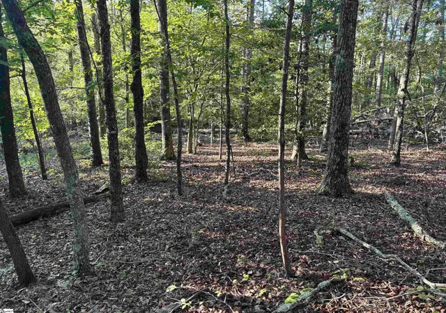 4th image of Aeronca Rd, Belton, SC 29627 | MLS# 1567795