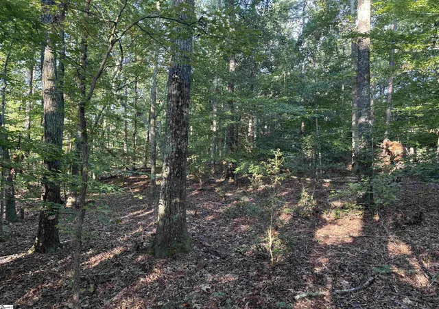 5th image of Aeronca Rd, Belton, SC 29627 | MLS# 1567795