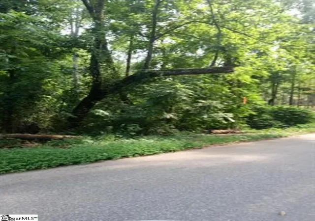 Photo 2 of Land for sale at 510 Cole Rd, Campobello, SC 29322 | MLS# 1597031 | Listing updated on 2026-08-26
