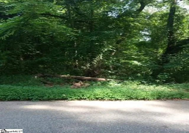 Photo 3 of Land for sale at 510 Cole Rd, Campobello, SC 29322 | MLS# 1597031 | Listing updated on 2026-08-26