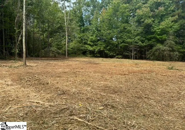 Photo 2 of Land for sale at 571 Hwy 221, Laurens, SC 29360 | MLS# 1602138 | Listing updated on 2026-08-27