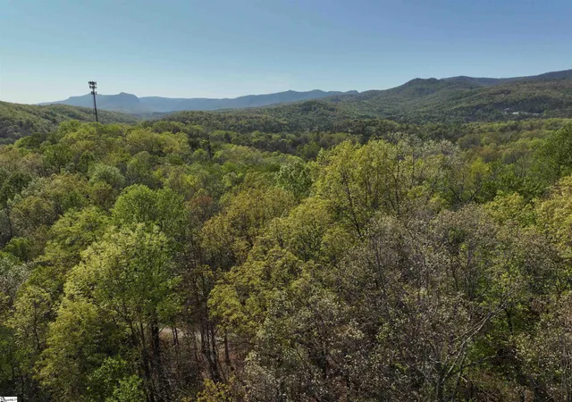 Photo 3 of Land for sale at 45 Emerald Crest Ln, Cleveland, SC 29635 | MLS# 1588105 | Listing updated on 2026-08-01