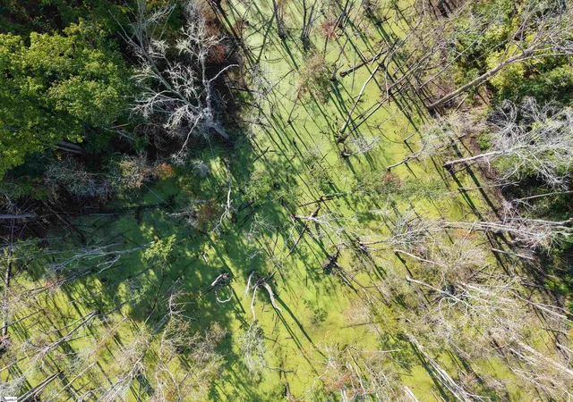 Photo 14 of Land for sale at 0 Able Rd, Bamberg, SC 29003 | MLS# 1600357 | Listing updated on 2026-08-23