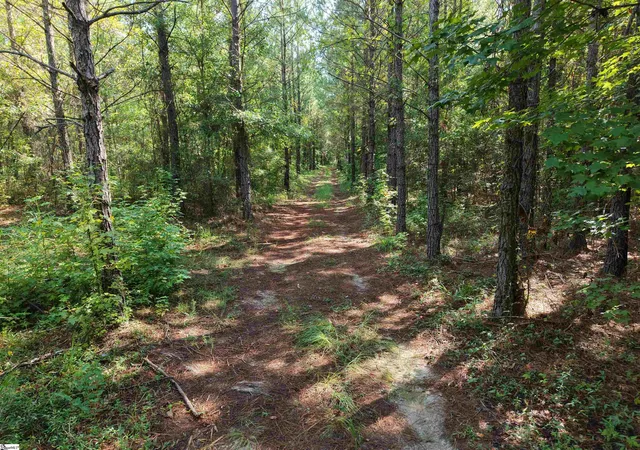 Photo 3 of House for sale at 0 Able Rd, Bamberg, SC 29003 | MLS# 1600357 | Listing updated on 2026-08-23
