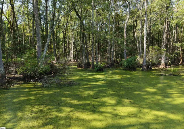 Photo 4 of House for sale at 0 Able Rd, Bamberg, SC 29003 | MLS# 1600357 | Listing updated on 2026-08-23
