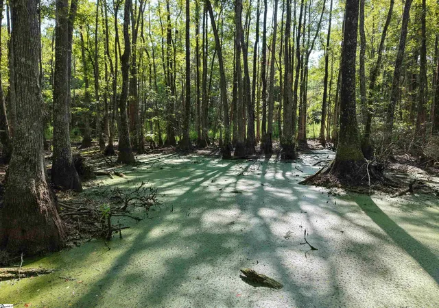 Photo 5 of House for sale at 0 Able Rd, Bamberg, SC 29003 | MLS# 1600357 | Listing updated on 2026-08-23