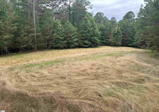 Photo 4 of House for sale at 1087 Bobby Facuette Rd, Jonesville, SC 29353 | MLS# 1593956 | Listing updated on 2026-06-23