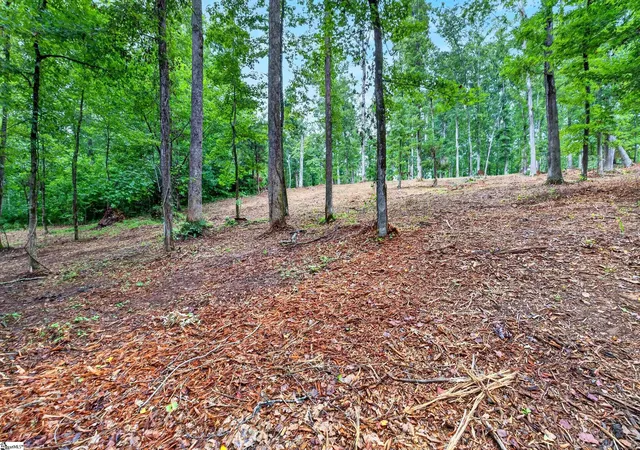 Photo 3 of House for sale at 229 W Chapman Rd #Lot 4, Belton, SC 29627 | MLS# 1599780 | Listing updated on 2026-08-24