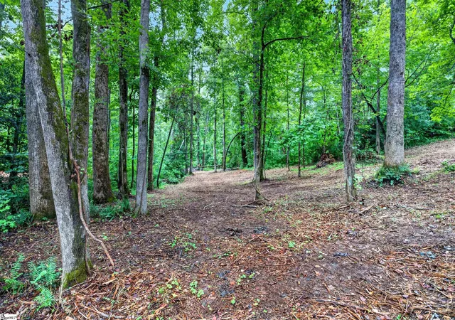 Photo 4 of House for sale at 229 W Chapman Rd #Lot 4, Belton, SC 29627 | MLS# 1599780 | Listing updated on 2026-08-24