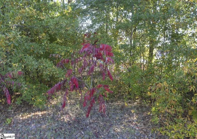 Photo 4 of Sale Pending at 0 Chandler Rd, Greer, SC 29651 | MLS# 1572578 | Listing updated on 2026-09-01