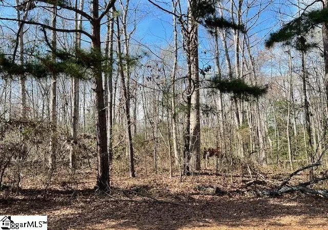 Photo 1 of Land for sale at 141 Katora Ln, Pelzer, SC 29669 | MLS# 1598909 | Listing updated on 2026-07-27