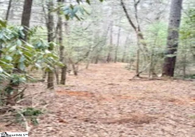 17th image of 0 Green River Rd, Zirconia, NC 28790 | MLS# 1580312