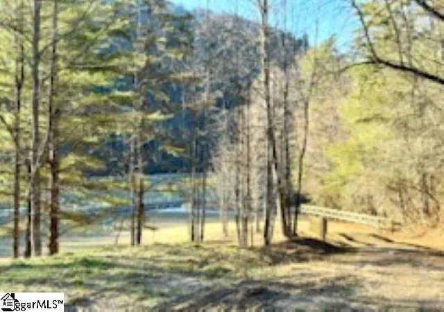 2nd image of 0 Green River Rd, Zirconia, NC 28790 | MLS# 1580312