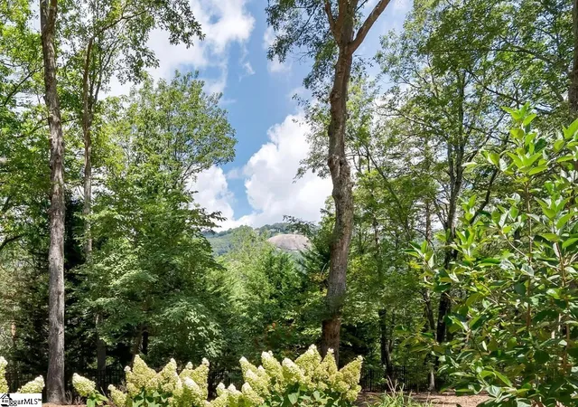 Photo 2 of Single family home for sale at 610 Plumley Summit Rd, Landrum, SC 29356 | MLS# 1602129 | Listing updated on 2026-09-18
