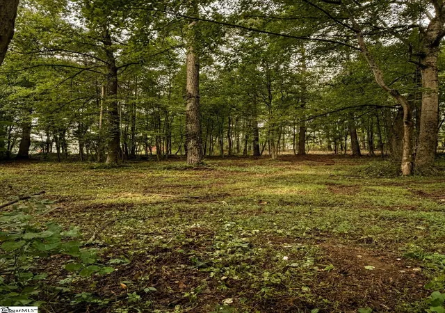 Photo 1 of Sale Pending at Tract 2 Old Mill Rd, Easley, SC 29642 | MLS# 1599967 | Listing updated on 2026-09-17