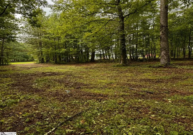 Photo 2 of Sale Pending at Tract 2 Old Mill Rd, Easley, SC 29642 | MLS# 1599967 | Listing updated on 2026-09-17