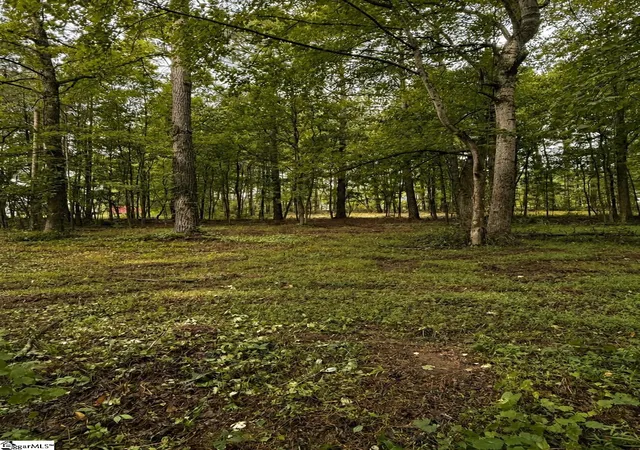 Photo 3 of Sale Pending at Tract 2 Old Mill Rd, Easley, SC 29642 | MLS# 1599967 | Listing updated on 2026-09-17