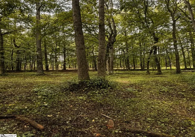Photo 4 of Sale Pending at Tract 2 Old Mill Rd, Easley, SC 29642 | MLS# 1599967 | Listing updated on 2026-09-17