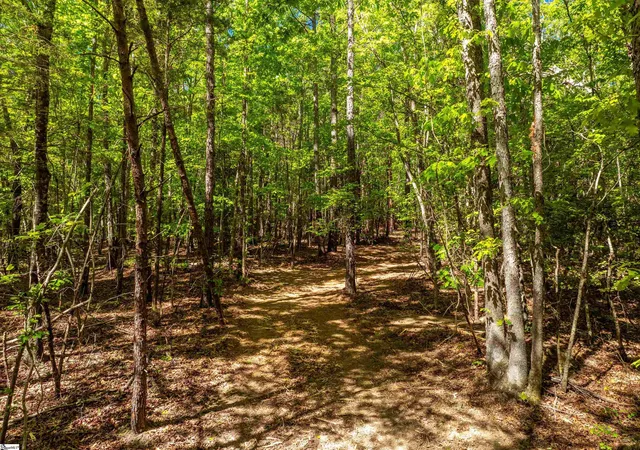 Homes for sale in Honea Path, SC | 00 Princeton Hwy, Honea Path, SC 29654 | MLS# 1589877
