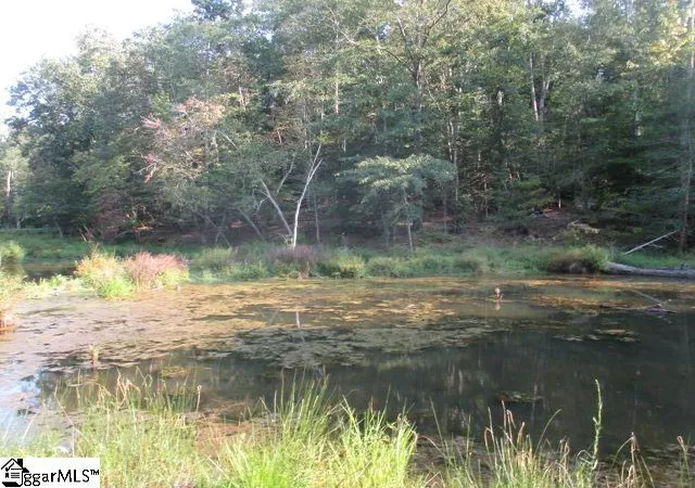 Photo 3 of Land for sale at 1905 Mckelvey Rd, Fountain Inn, SC 29644 | MLS# 1569943 | Listing updated on 2026-07-30