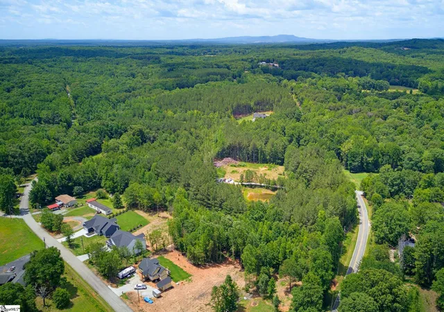 50th image of 1217 Pleasant Hill Rd, Landrum, SC 29356 | MLS# 1595704