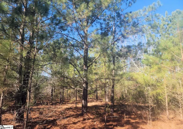 5th image of (Undisclosed), Waterloo, SC 29384 | MLS# 1586681