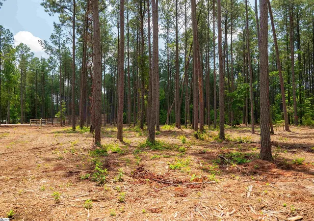 20th image of 00 Cheek Rd #Lot 14, Gray Court, SC 29645 | MLS# 1597445
