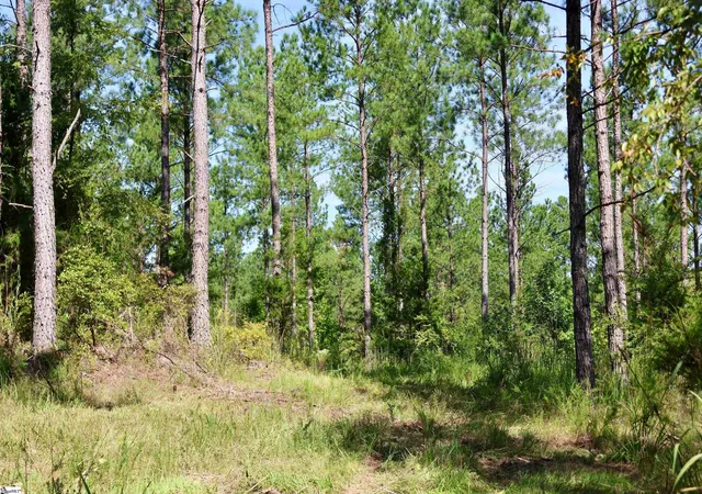 Photo 2 of Land for sale at 00 Fields Rd #Lot 3, Pauline, SC 29374 | MLS# 1593886 | Listing updated on 2026-09-04