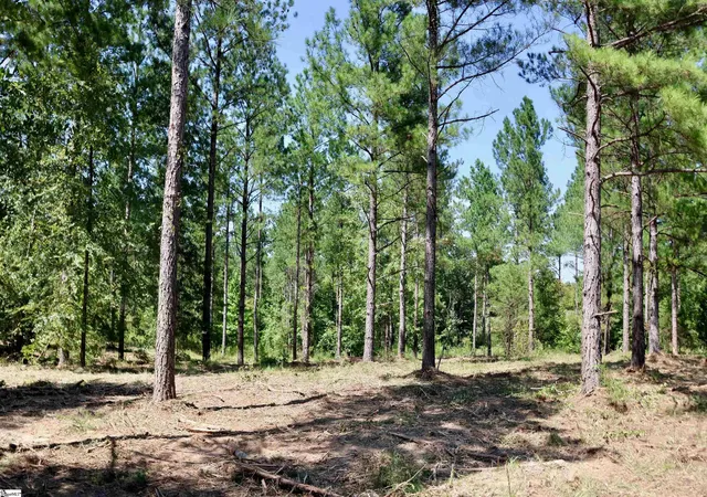 Photo 4 of House for sale at 00 Fields Rd #Lot 3, Pauline, SC 29374 | MLS# 1593886 | Listing updated on 2026-09-04