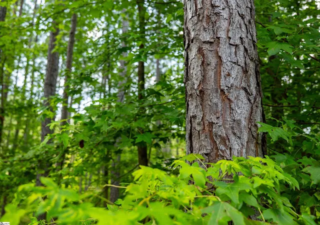 22nd image of 00 Cheek Rd #Lot 9, Gray Court, SC 29645 | MLS# 1597436
