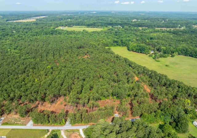 3rd image of 00 Cheek Rd #Lot 9, Gray Court, SC 29645 | MLS# 1597436