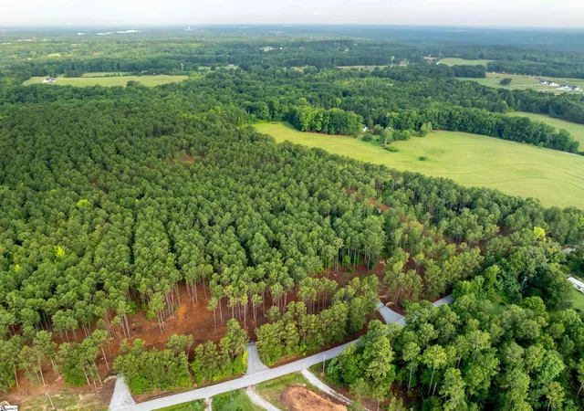 4th image of 00 Cheek Rd #Lot 9, Gray Court, SC 29645 | MLS# 1597436