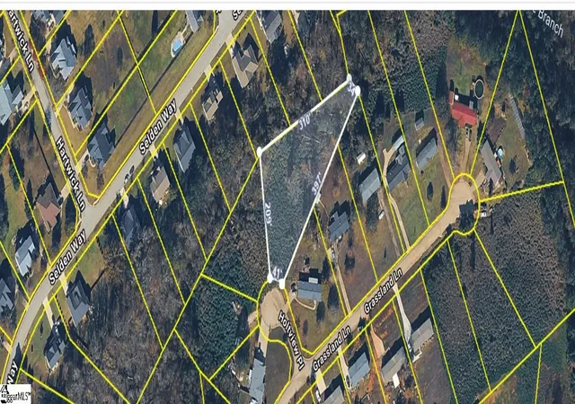 Homes for sale in Fountain Inn, SC | 602 Holtview Pl, Fountain Inn, SC 29644 | MLS# 1596015