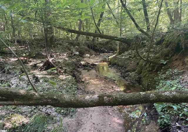 Photo 1 of Land for sale at Old Calhoun Falls Rd, Abbeville, SC 29620 | MLS# 1599841 | Listing updated on 2026-09-04