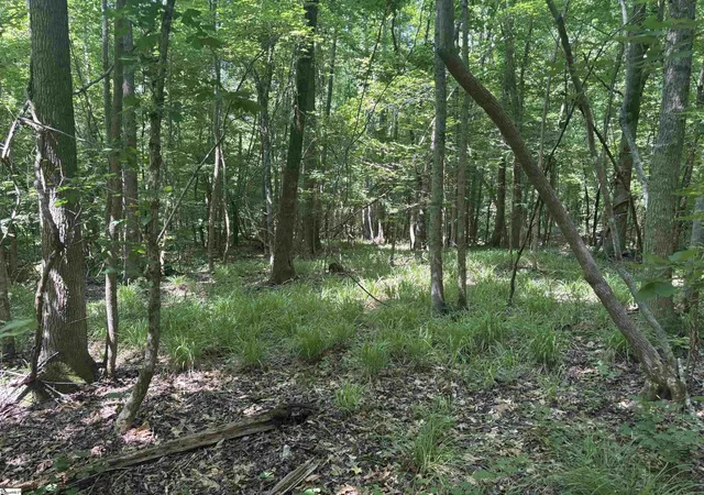 Photo 2 of Land for sale at Old Calhoun Falls Rd, Abbeville, SC 29620 | MLS# 1599841 | Listing updated on 2026-09-04