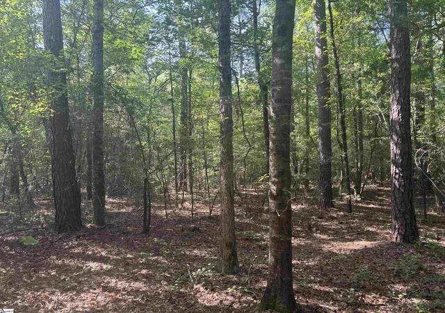 Photo 3 of Land for sale at Old Calhoun Falls Rd, Abbeville, SC 29620 | MLS# 1599841 | Listing updated on 2026-09-04