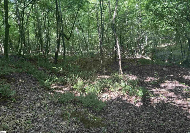 Photo 4 of House for sale at Old Calhoun Falls Rd, Abbeville, SC 29620 | MLS# 1599841 | Listing updated on 2026-09-04