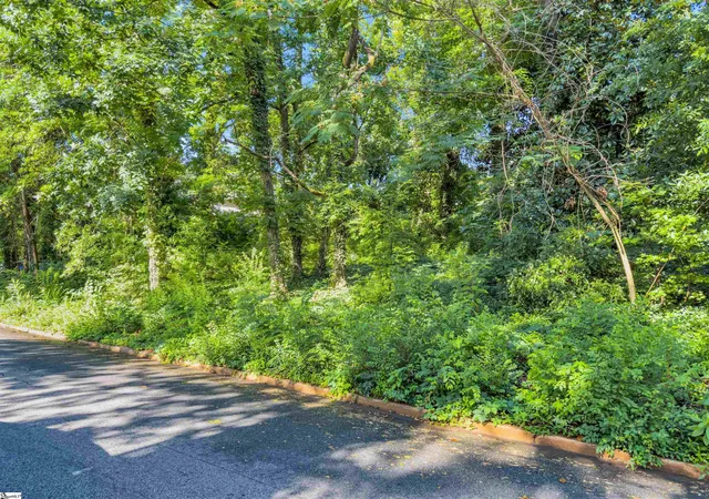 15th image of N Avondale Dr, Greenville, SC 29609 | MLS# 1596114